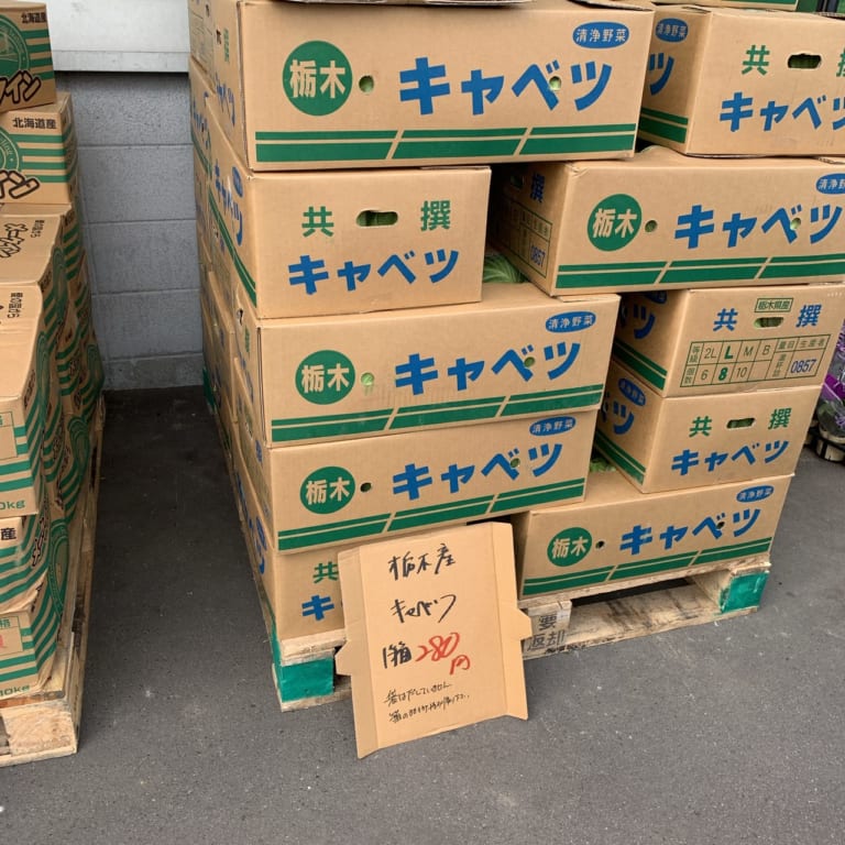 キャベツ