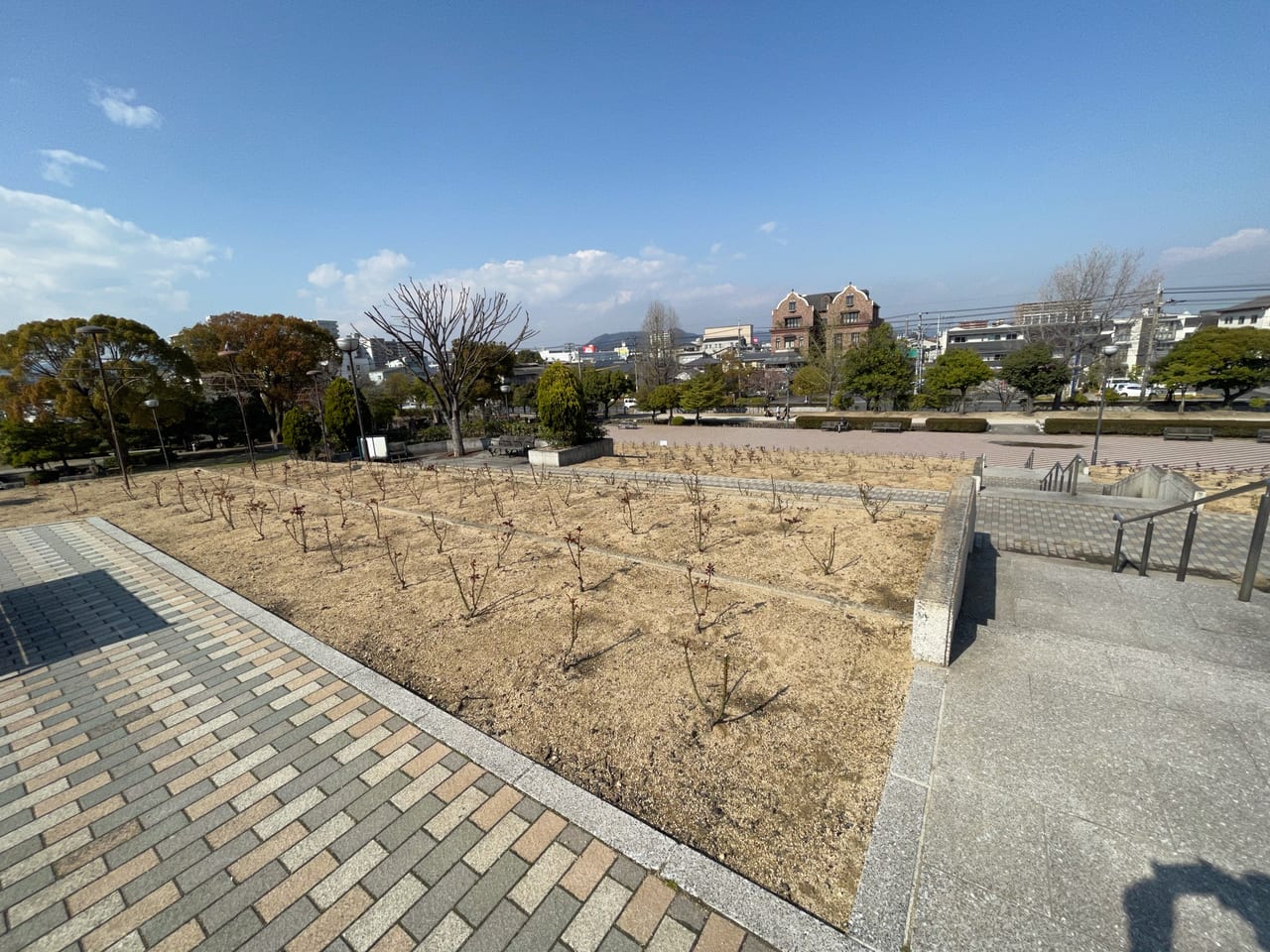 緑町公園