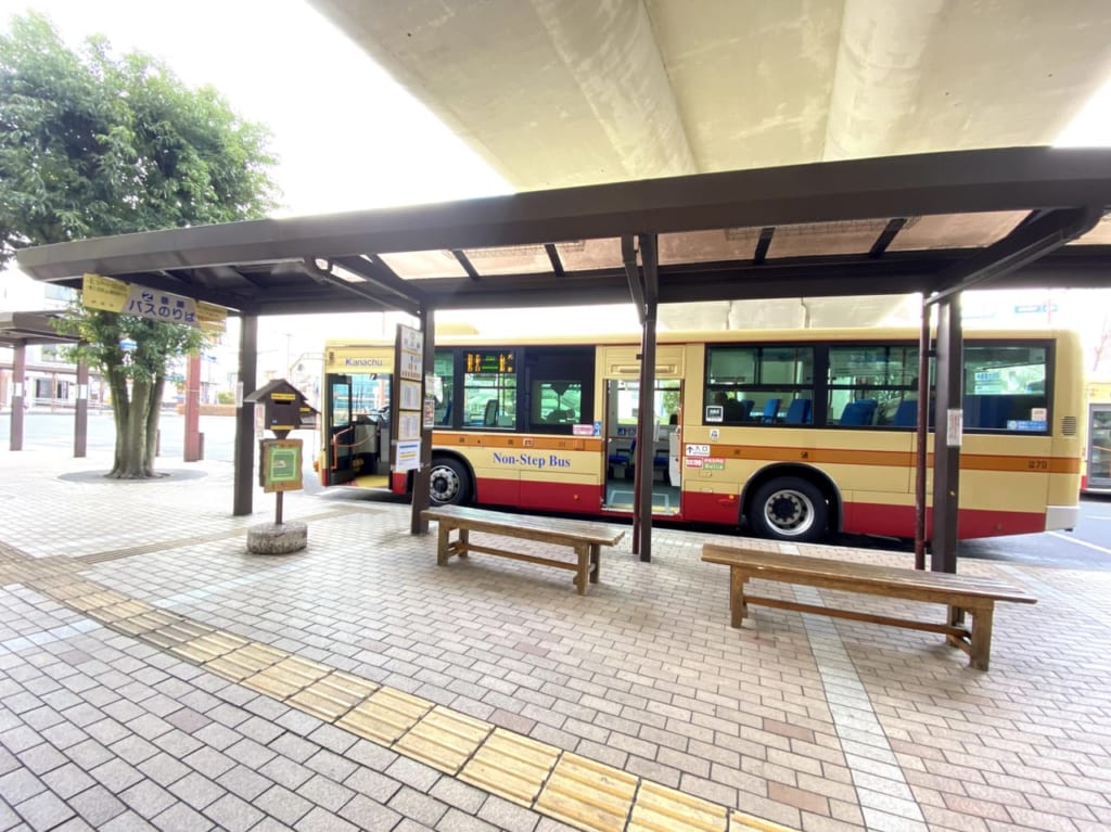 バス