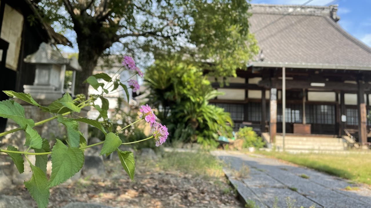 圓福寺