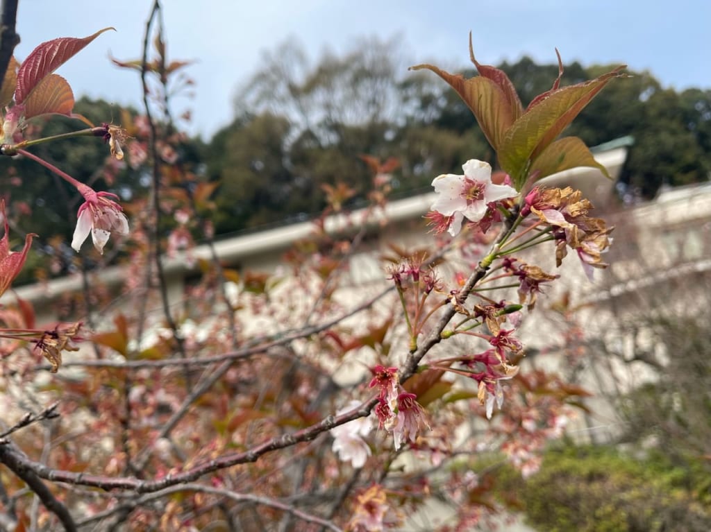 備後護国神社