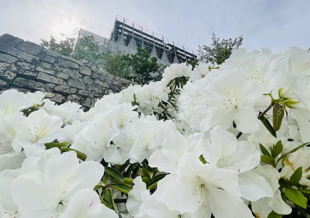 福山市立福山城博物館