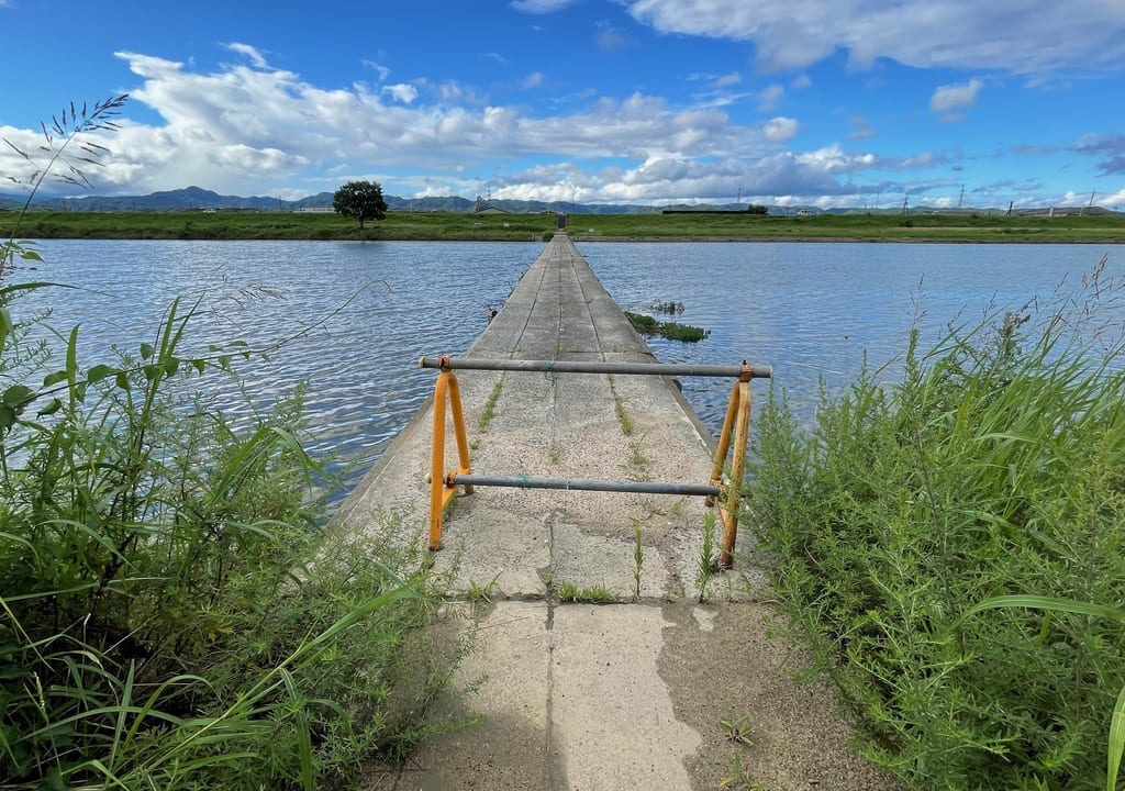 沈下橋