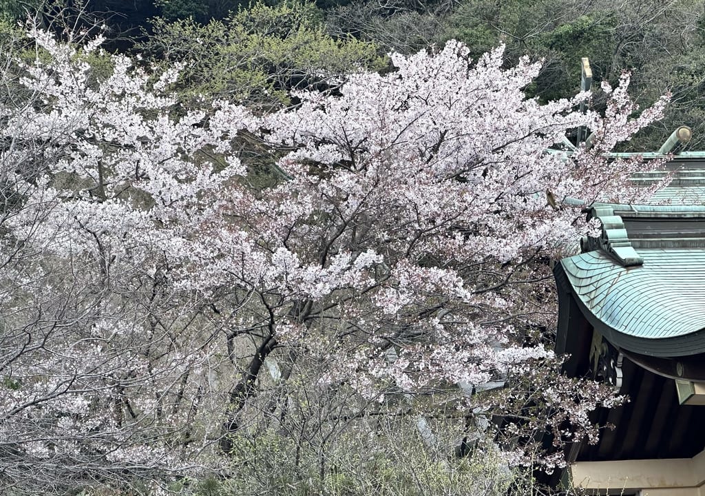沼名前神社