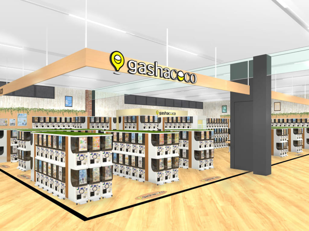gashacoco TSUTAYA