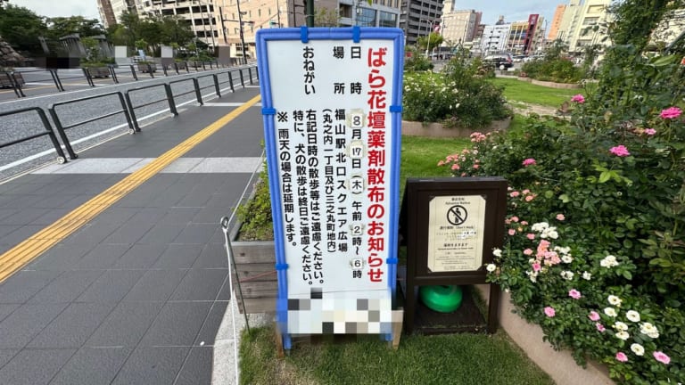 ばら花壇薬剤散布