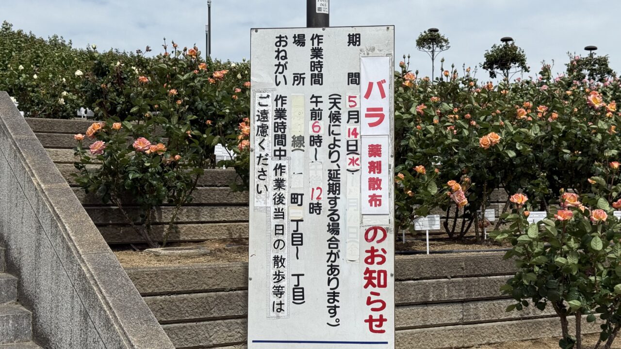 緑町公園