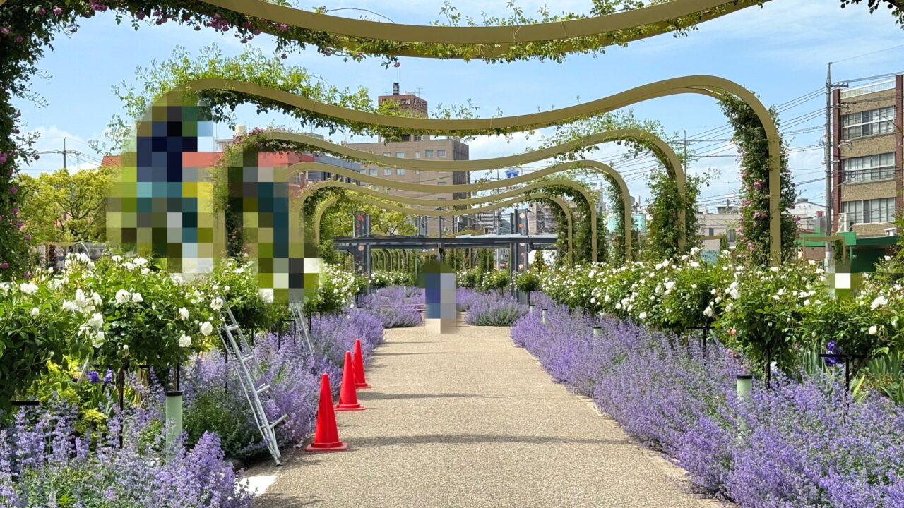 ばら公園