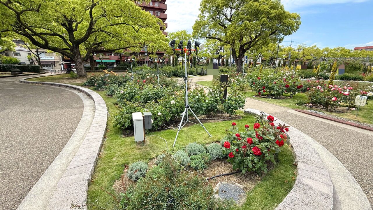 ばら公園
